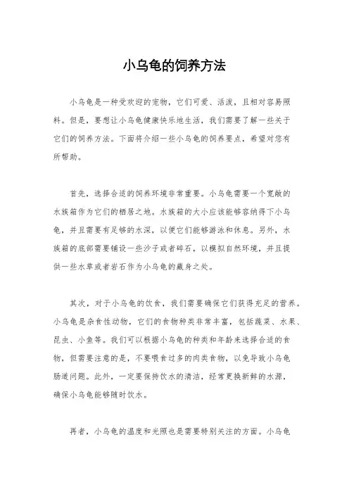 小乌龟的饲养方法