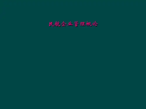 民航企业管理概论