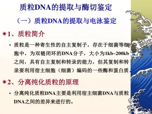 浙江大学生物化学实验甲奥赛质粒DNA的小批量提取与酶切鉴定-文档资料