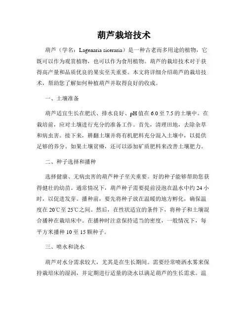 葫芦栽培技术
