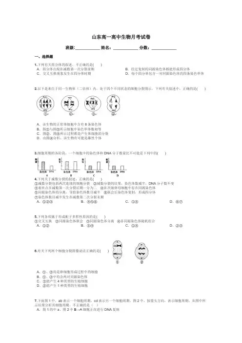 山东高一高中生物月考试卷带答案解析
