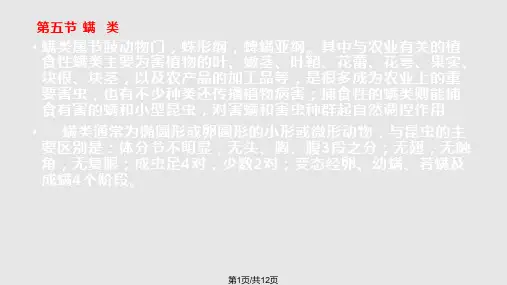 螨虫的分类及防治方法PPT课件