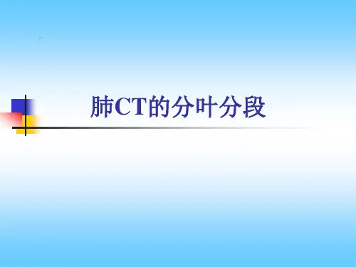 肺分叶分段