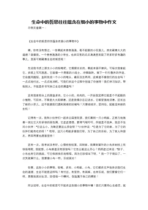 生命中的哲思往往蕴含在细小的事物中作文