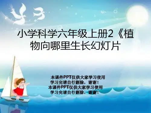 小学科学六年级上册2《植物向哪里生长幻灯片