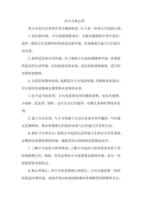 养小乌龟心得
