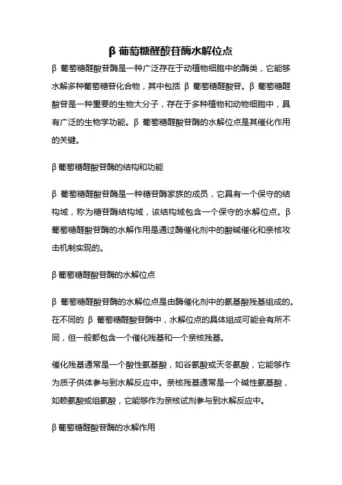 β葡萄糖醛酸苷酶水解位点