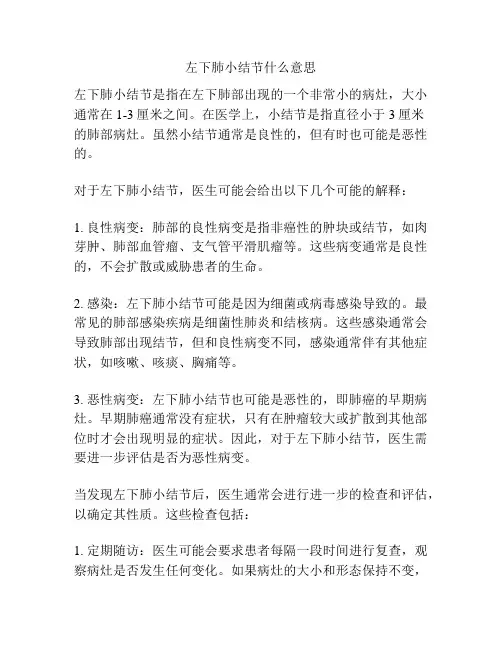 左下肺小结节什么意思