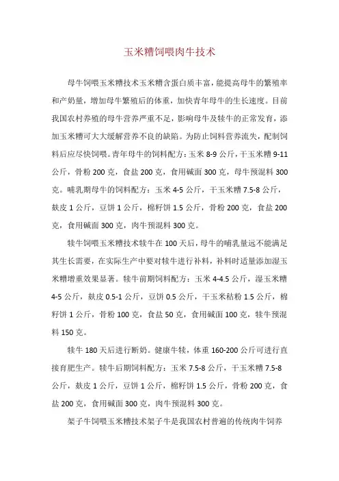 玉米糟饲喂肉牛技术