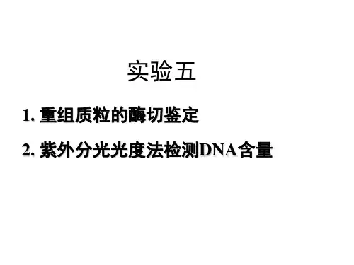 实验五-酶切鉴定-紫外分光光度检测DNA含量可编辑全文