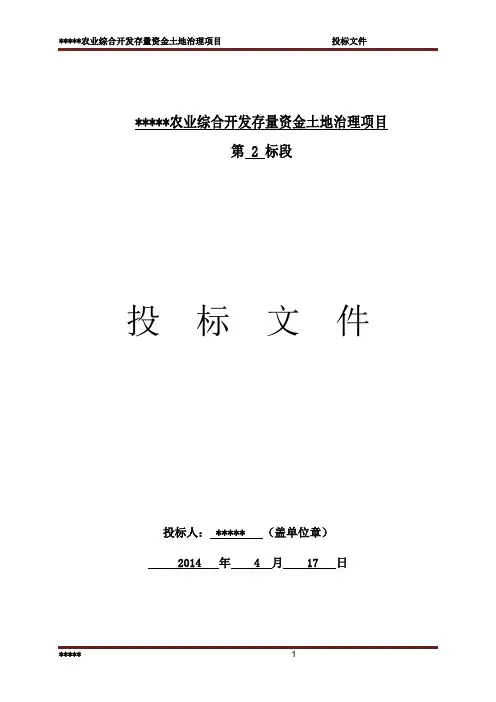 农业综合开发存量资金土地治理项目施工组织设计