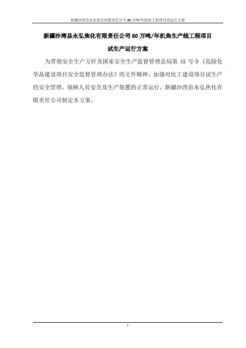新疆永宏60万吨试生产运行方案(简)