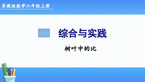苏教版六年级上册数学综合与实践 树叶中的比(课件)
