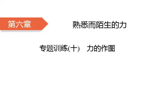 沪科版八年级物理上册HK精品课件 第6章 熟悉而陌生的力 专题训练10 力的作图