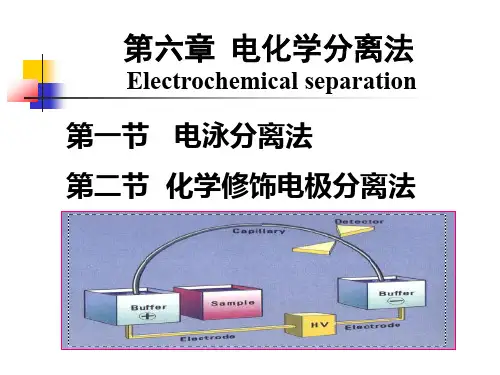 第六章电化学分离法