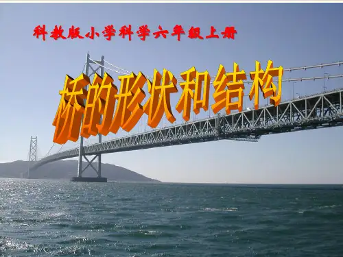 教科版科学《桥的形状和结构》专家课件1