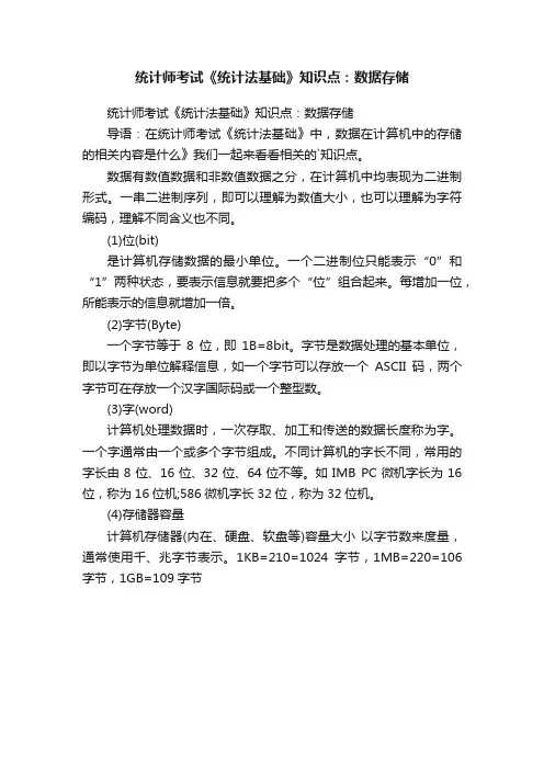 统计师考试《统计法基础》知识点：数据存储