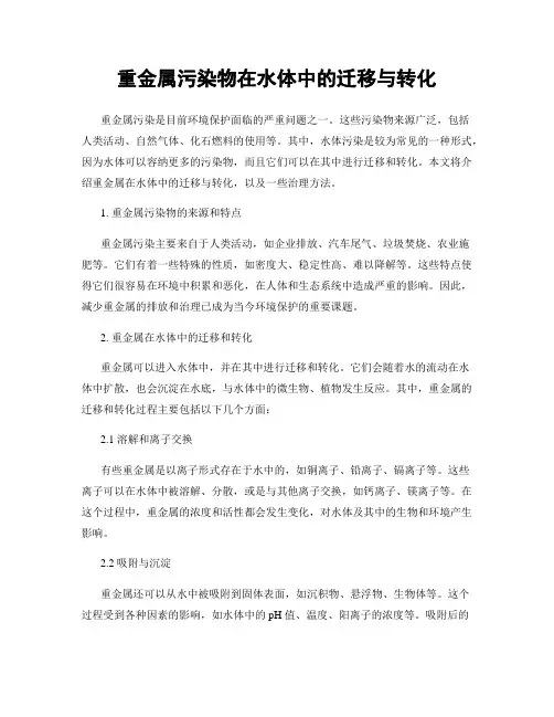 重金属污染物在水体中的迁移与转化