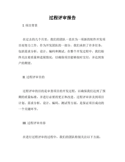 过程评审报告