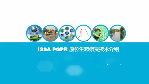 硕亚环保ISSA PGPR原位生态修复技术介绍