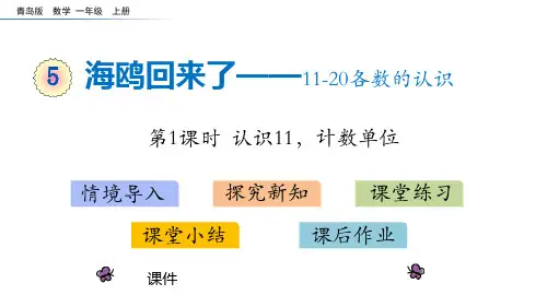 青岛版一年级上册数学《海鸥回来了》教学说课复习课件