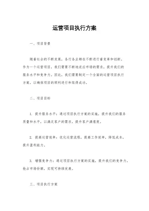 运营项目执行方案