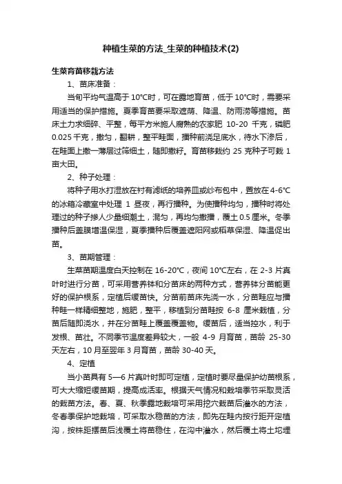 种植生菜的方法_生菜的种植技术（2）