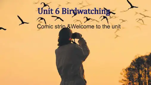 牛津译林版八年级英语上册Unit6 Welcome课件