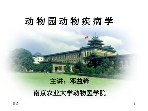 兽医外科手术学ppt课件