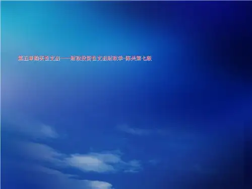 第五章购买性支出——财政投资性支出财政学-陈共第七版