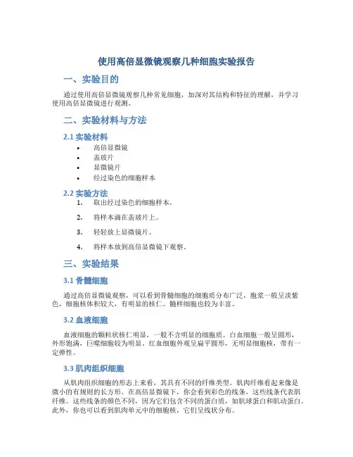 使用高倍显微镜观察几种细胞实验报告