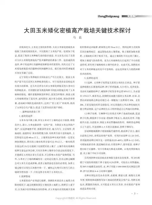 大田玉米矮化密植高产栽培关键技术探讨