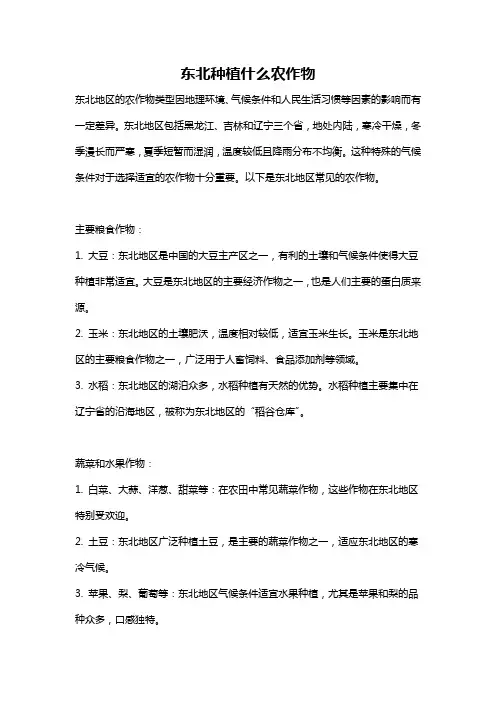 东北种植什么农作物