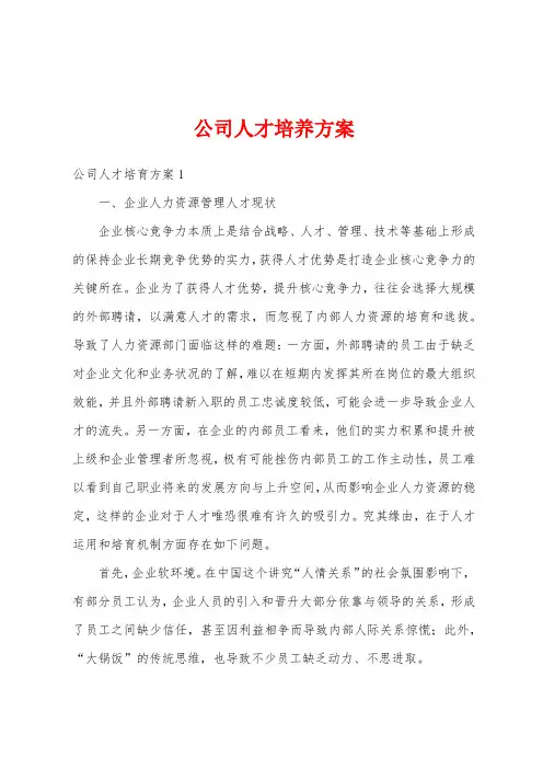 公司人才培养方案