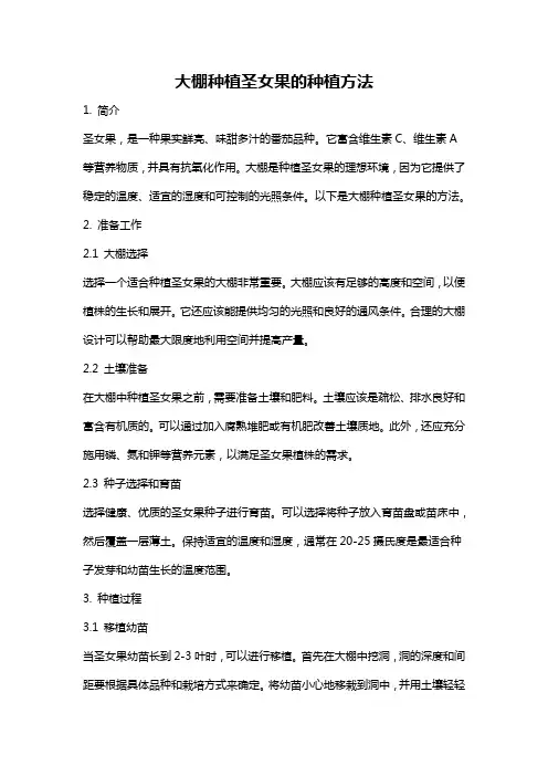 大棚种植圣女果的种植方法