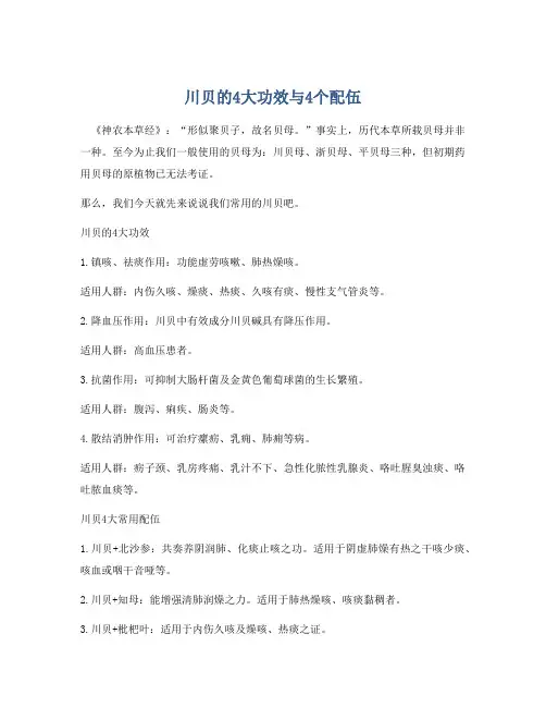 川贝的4大功效与4个配伍