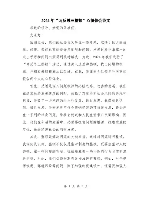 2024年“两反思三整顿”心得体会范文