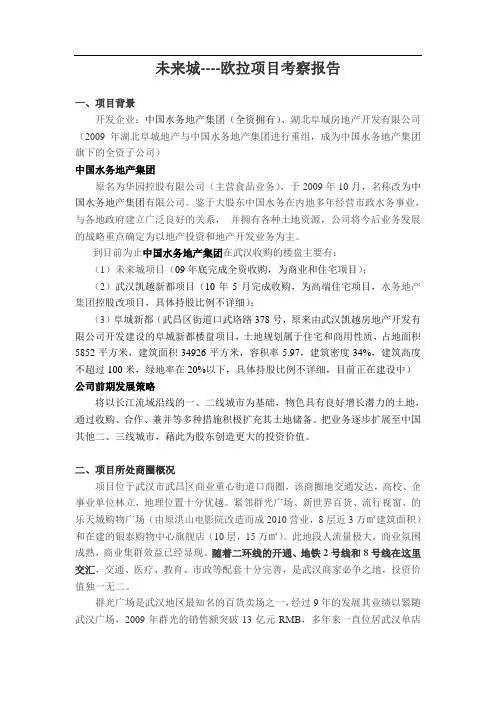 未来城考察报告