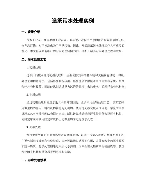 造纸污水处理实例
