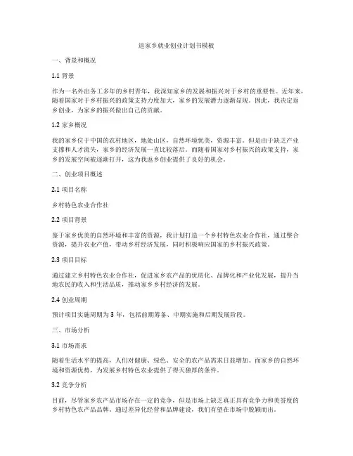 返家乡就业创业计划书模板