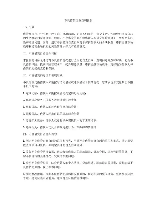 不良借贷自查自纠报告