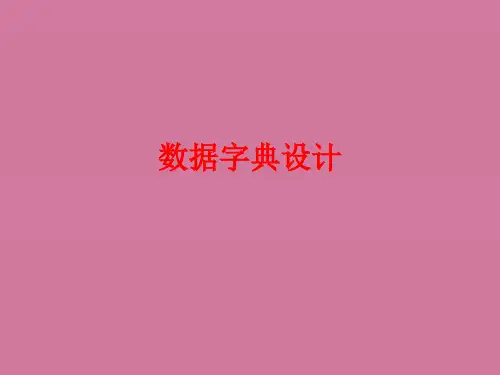 第10讲_数据字典设计ppt课件