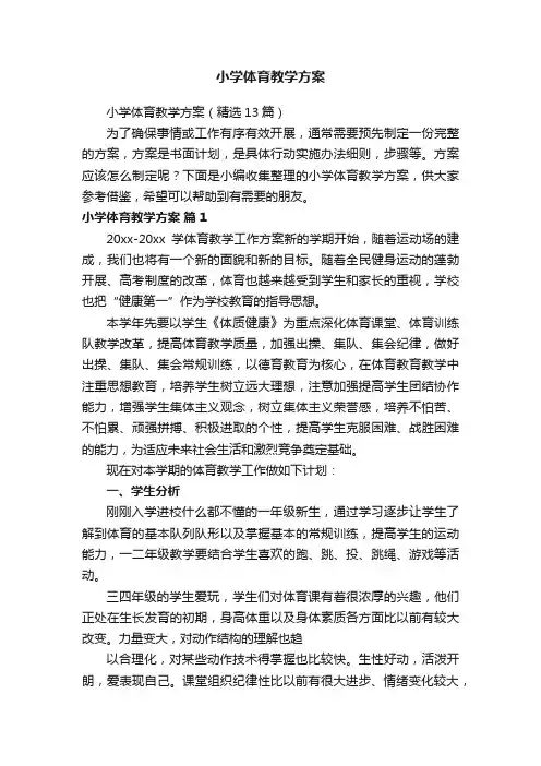 小学体育教学方案