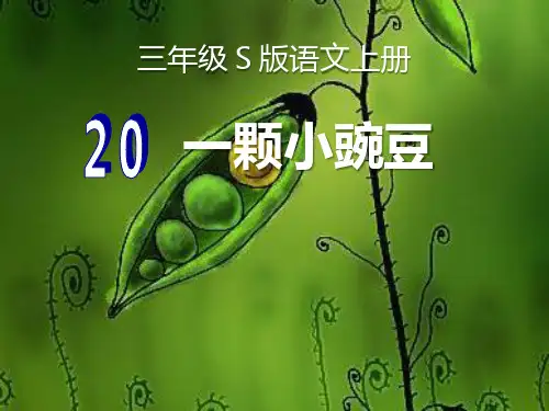 《一颗小豌豆》PPT教材课件