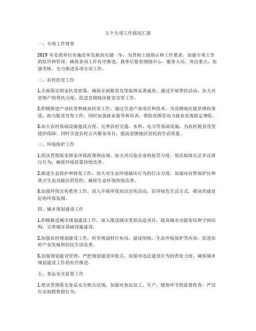 五个专项工作情况汇报