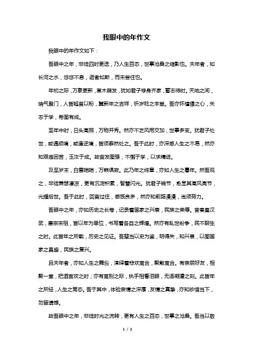 我眼中的年作文