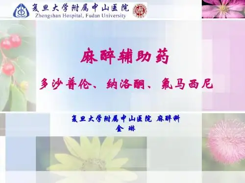 《纳洛酮》ppt课件-25页PPT资料