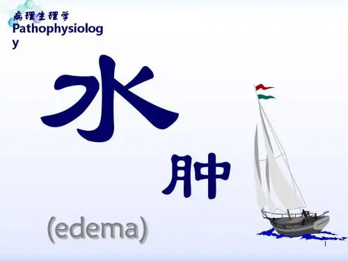 水肿PPT课件