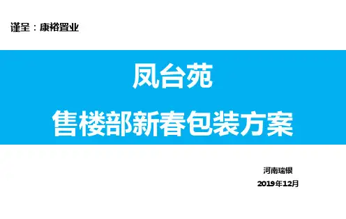 凤台苑新年包装方案141206-精品文档19页