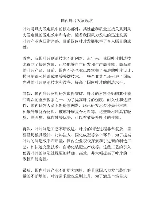 国内叶片发展现状